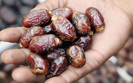 The Ultimate Guide to Buying the Best Dates